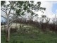 LOT 20 EXMOOR ROAD, Bloomsbury QLD 4799