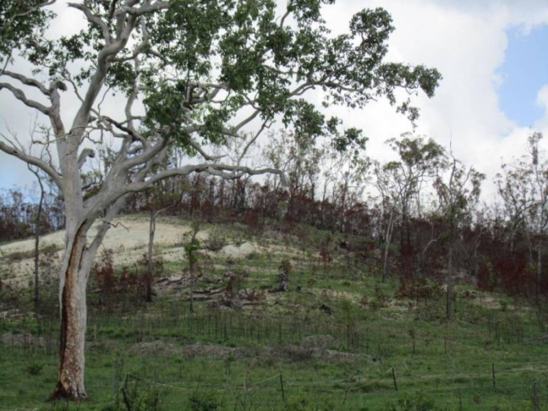 LOT 20 EXMOOR ROAD, Bloomsbury QLD 4799