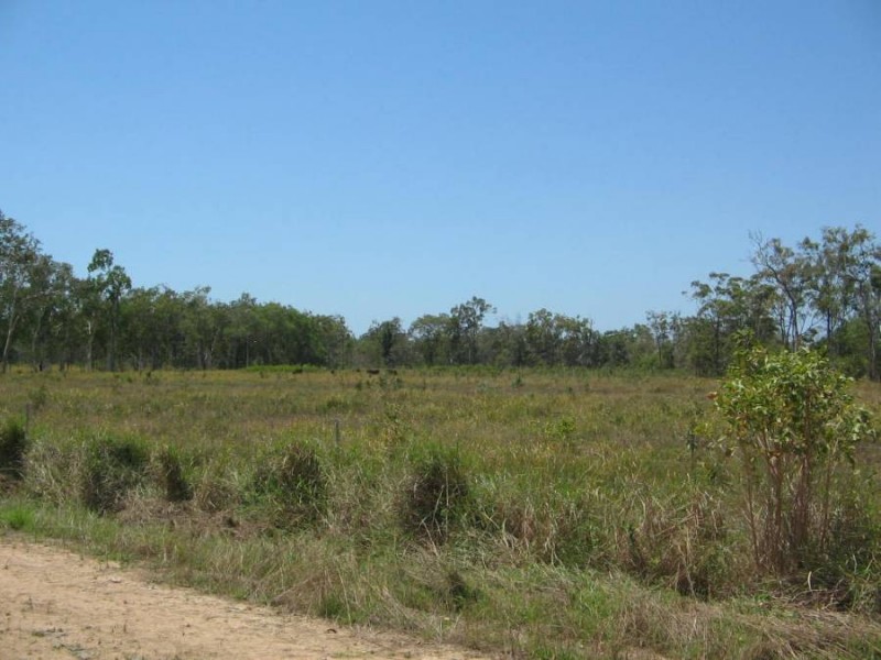 LOT 20 EXMOOR ROAD, Bloomsbury QLD 4799