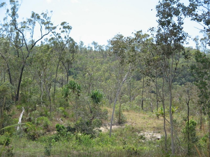 LOT 21 EXMOOR ROAD BLOOMSBURY, Midge Point QLD 4799