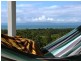 1323 MIDGE POINT ROAD, Midge Point QLD 4799