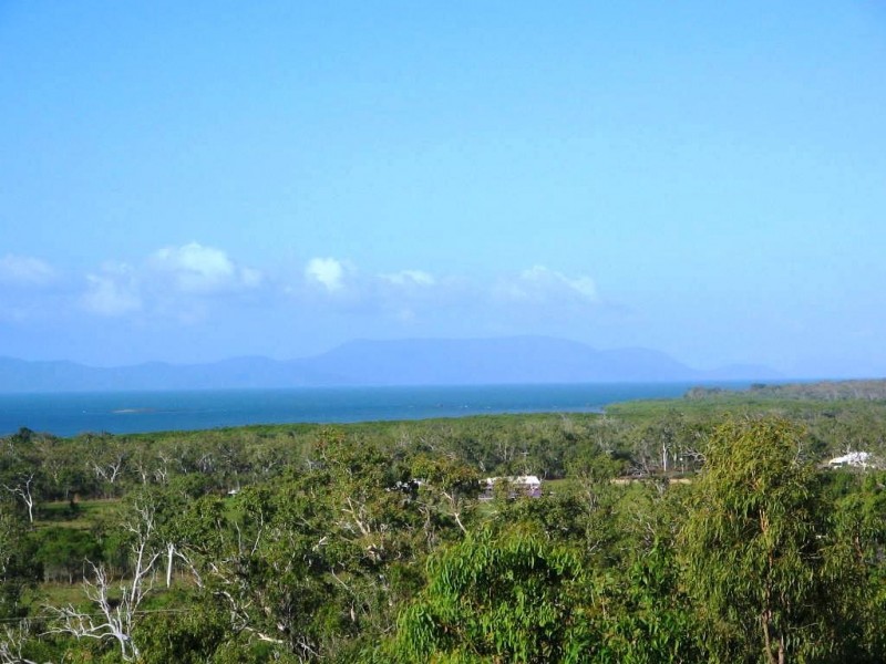 1323 MIDGE POINT ROAD, Midge Point QLD 4799