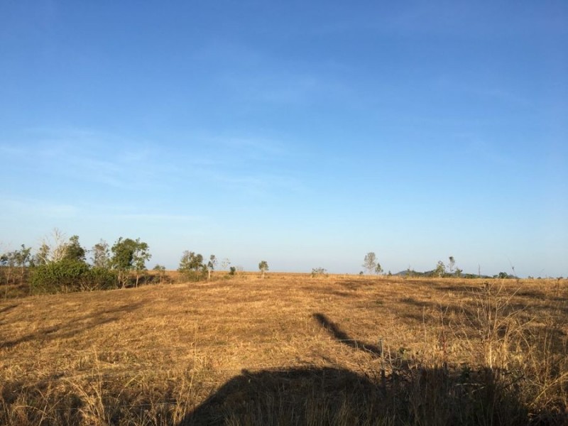 LOTS 15,16, &17, LINDEMAN DR, Bloomsbury QLD 4799