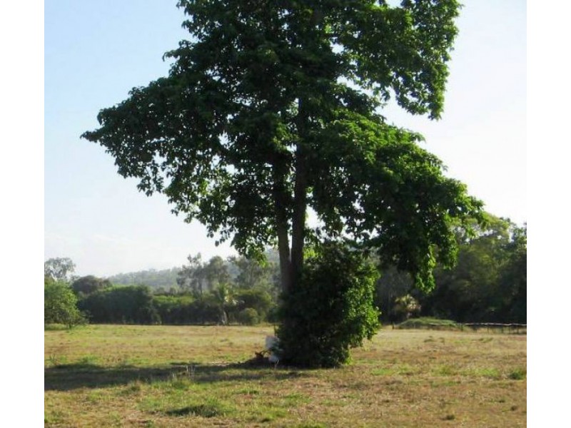 LOT 12 BUNDESEN AVE, Midge Point QLD 4799