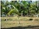 2 CONDER PARADE MIDGE POINT 4799, Whitsundays QLD 4802