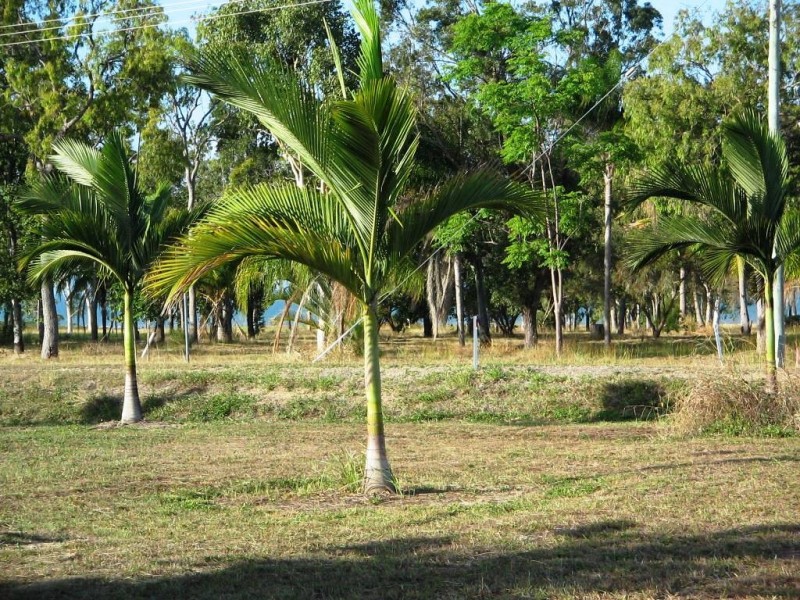 2 CONDER PARADE MIDGE POINT 4799, Whitsundays QLD 4802