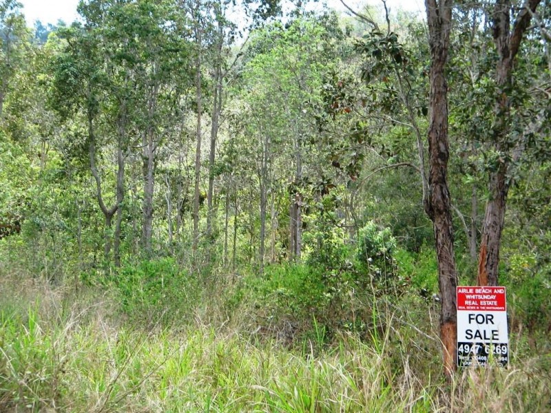 21 EXMOOR ROAD BLOOMSBURY 4799, Whitsundays QLD 4802