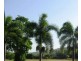 12  BUNDESEN AVE, Midge Point QLD 4799