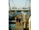 LOT 1 PARK DRIVE MIDGE POINT  4799, Whitsundays QLD 4802