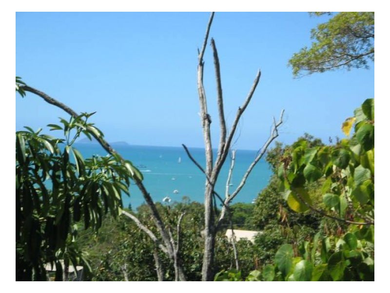 LOT 8 WATERSON WAY, Airlie Beach QLD 4802