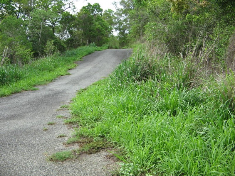 LOT 1 MANDALAY ROAD, Jubilee Pocket QLD 4802