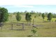 155 WHITSUNDAY DRIVE, Bloomsbury QLD 4799