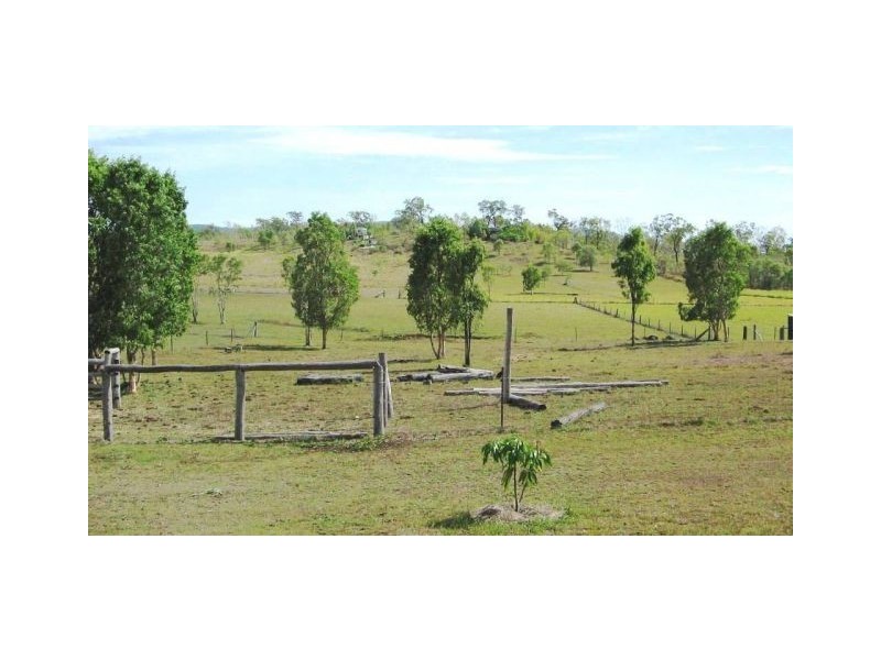155 WHITSUNDAY DRIVE, Bloomsbury QLD 4799