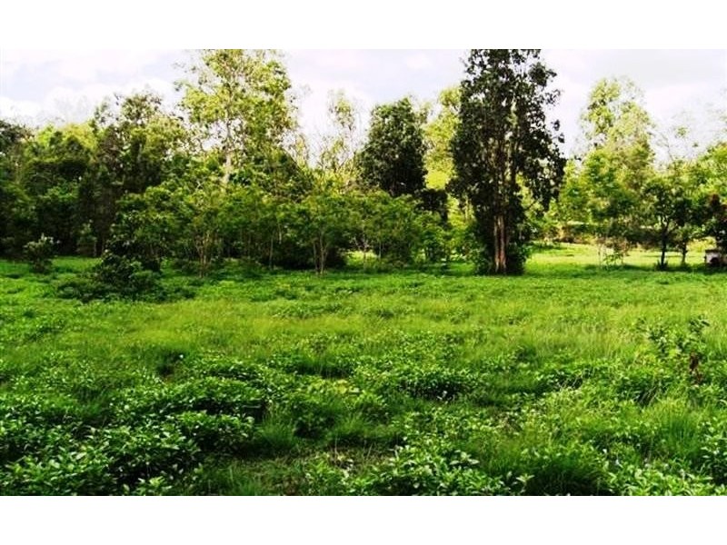 75 LELONA DRIVE BLOOMSBURY, Whitsundays QLD 4802