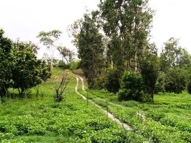 75 LELONA DRIVE BLOOMSBURY, Whitsundays QLD 4802