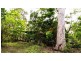 LOT 65 LELONA DRIVE BLOOMSBURY, Midge Point QLD 4799