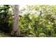 LOT 65 LELONA DRIVE BLOOMSBURY, Midge Point QLD 4799