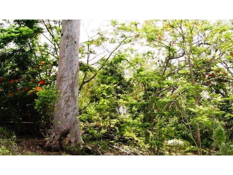 LOT 65 LELONA DRIVE BLOOMSBURY, Midge Point QLD 4799