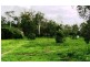 LOT 65 LELONA DRIVE BLOOMSBURY, Midge Point QLD 4799
