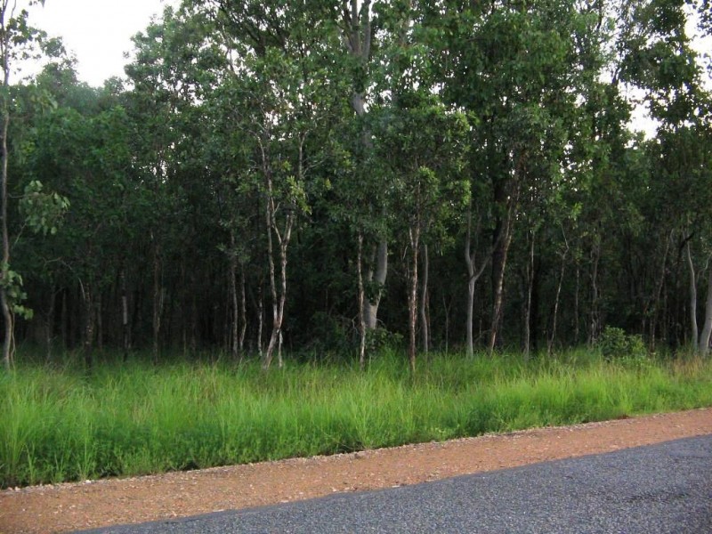 10 MIDGE POINT ROAD, Midge Point QLD 4799