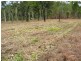 LOT 4  OFLYNN CRES MIDGE POINT QLD 4799, Whitsundays QLD 4802