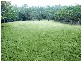 Cannonvale QLD 4802