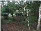 Cannonvale QLD 4802