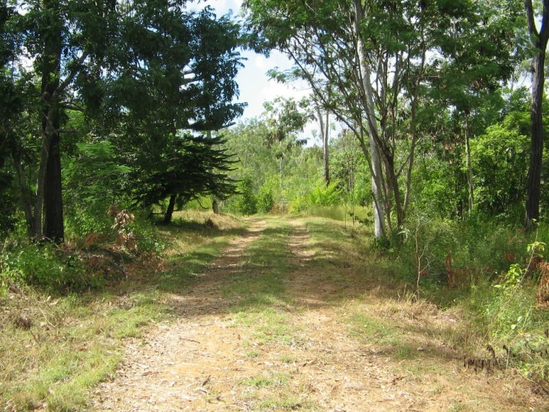 LOT 119 LELONA DRIVE BLOOMSBURY 4799, Whitsundays QLD 4802