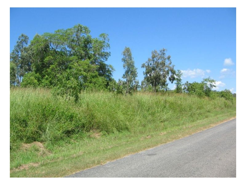 LOT 515 WHITSUNDAY DRIVE, Bloomsbury QLD 4799