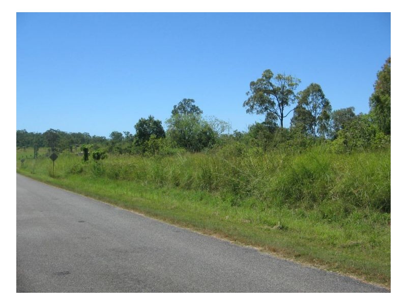 LOT 515 WHITSUNDAY DRIVE, Bloomsbury QLD 4799