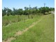 LOT 68 LINDEMAN DRIVE, Bloomsbury QLD 4799