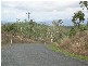 LOT 74 LINDEMAN DRIVE , Bloomsbury QLD 4799