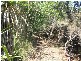 LOT 8 McKELLAR ST, Midge Point QLD 4799