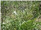 LOT 8 McKELLAR ST, Midge Point QLD 4799