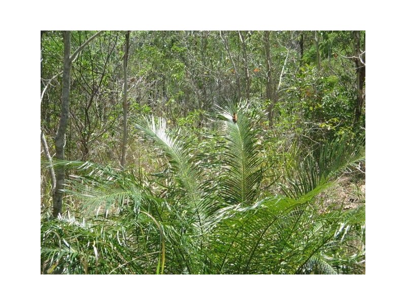 LOT 8 McKELLAR ST, Midge Point QLD 4799