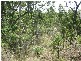LOT 8 McKELLAR ST, Midge Point QLD 4799