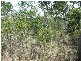 LOT 8 McKELLAR ST, Midge Point QLD 4799