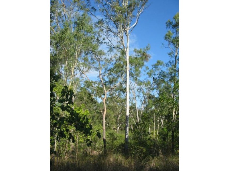LOT 117  LELONA DRIVE BLOOMSBURY, Midge Point QLD 4799