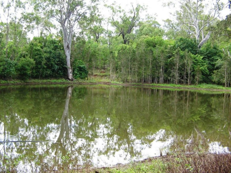 LOT 46 LELONA DRIVE BLOOMSBURY 4799, Whitsundays QLD 4802