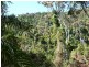 CAYMAN ESTATE PROPOSED LOTS 1-33 BORDER DRIVE, Cannonvale QLD 4802