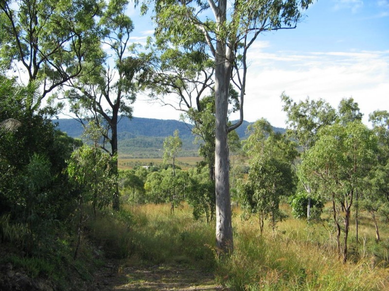 134 LINDEMAN DR BLOOMSBURY, Midge Point QLD 4799