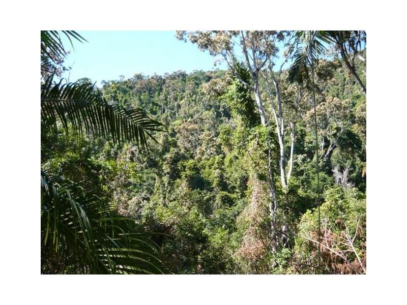 LOT 20 CAYMAN ESTATE BORDER DRIVE, Cannonvale QLD 4802