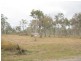 LOT 1 OFLYNN CRESCENT, Midge Point QLD 4799