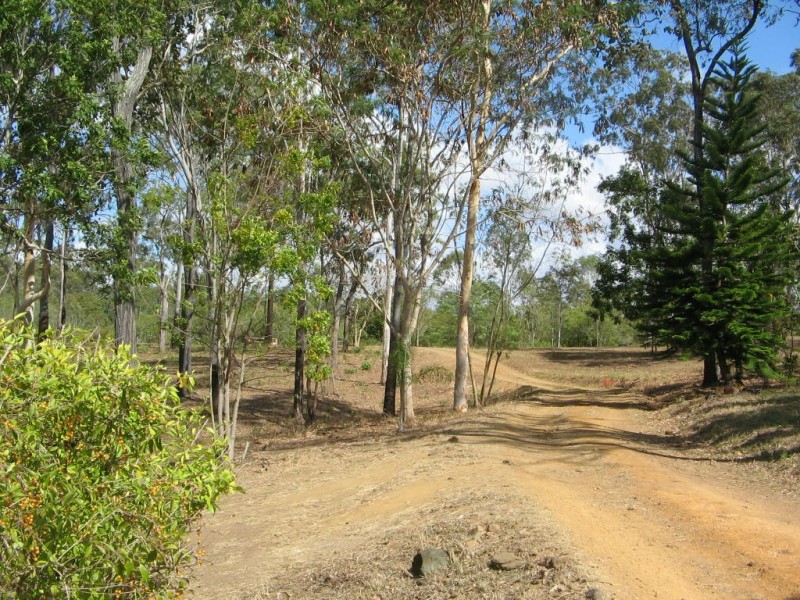 LOT 119 LELONA DRIVE BLOOMSBURY, Whitsundays QLD 4802