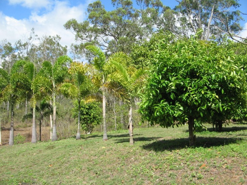 LOT 119 LELONA DRIVE BLOOMSBURY, Whitsundays QLD 4802