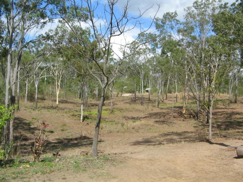 119  LELONA DR, Bloomsbury QLD 4799