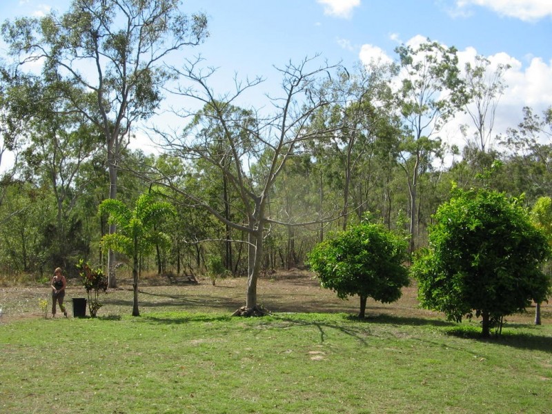 119  LELONA DR, Bloomsbury QLD 4799