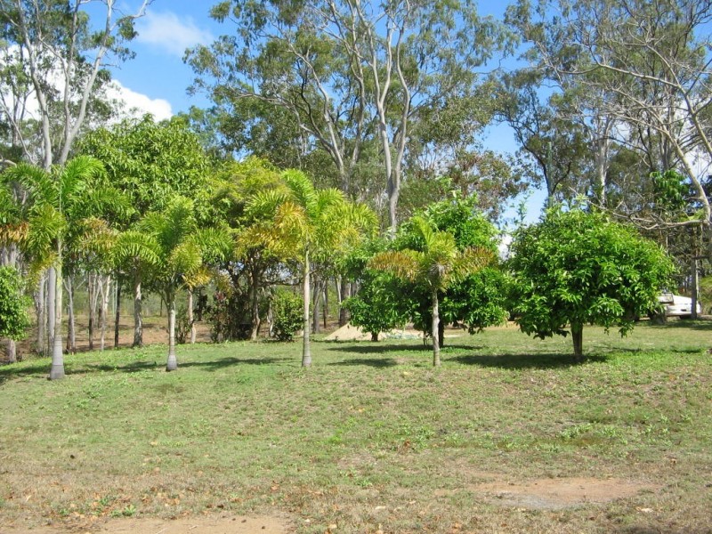 119  LELONA DR, Bloomsbury QLD 4799