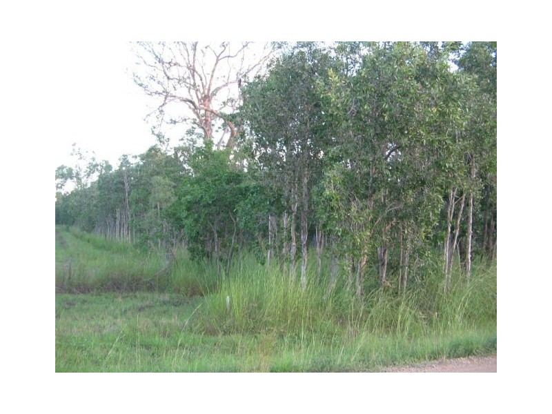 Midge Point QLD 4799
