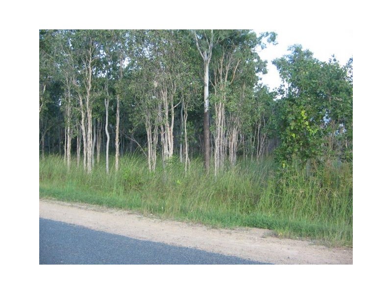 Midge Point QLD 4799